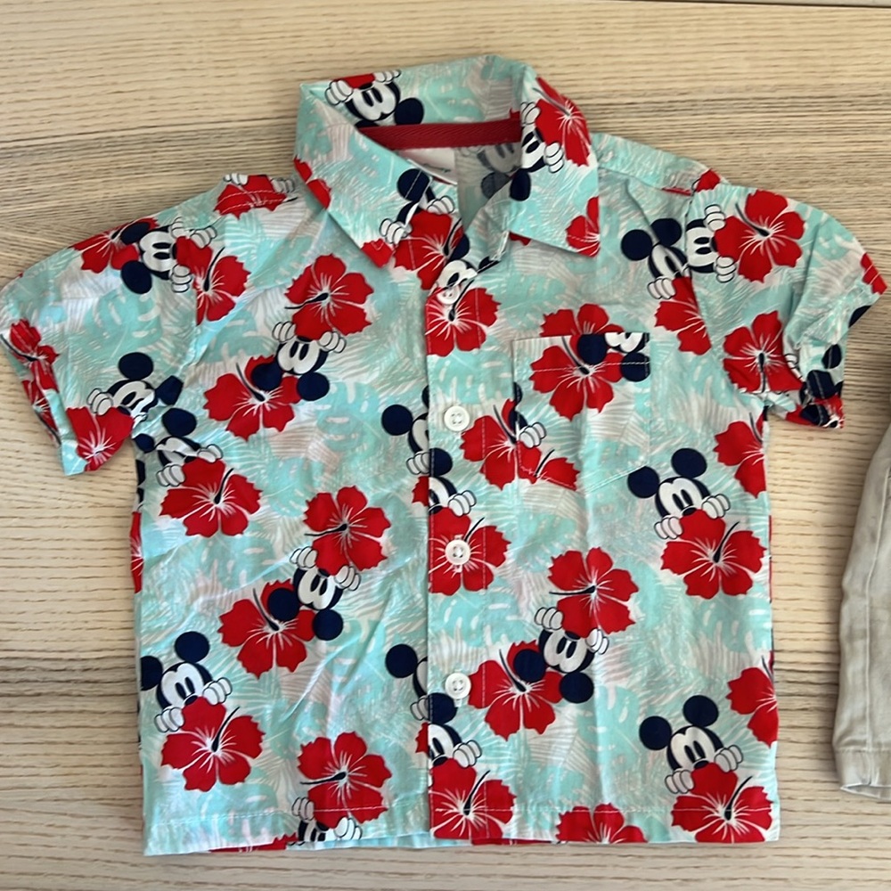 Disney tropical Hawaii shirt